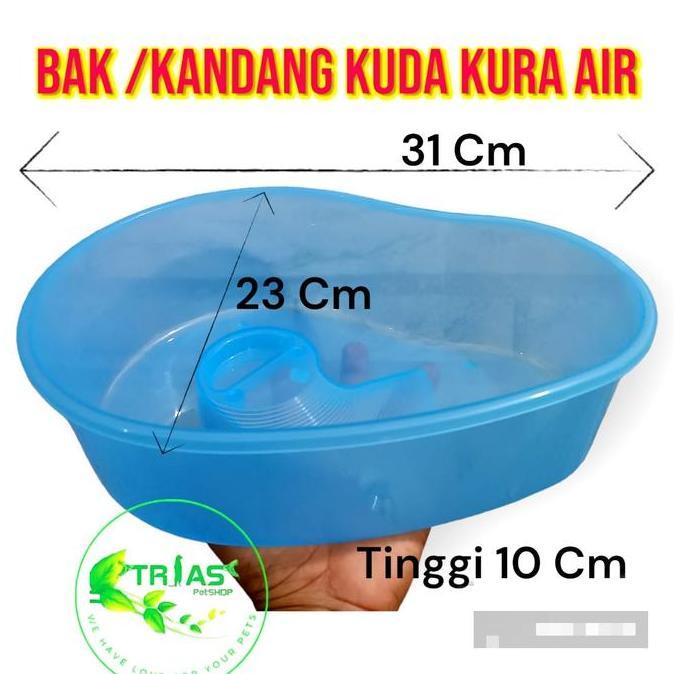 Bak kandang kura kura air kecil/turtle box kura kura air/box kura kura
