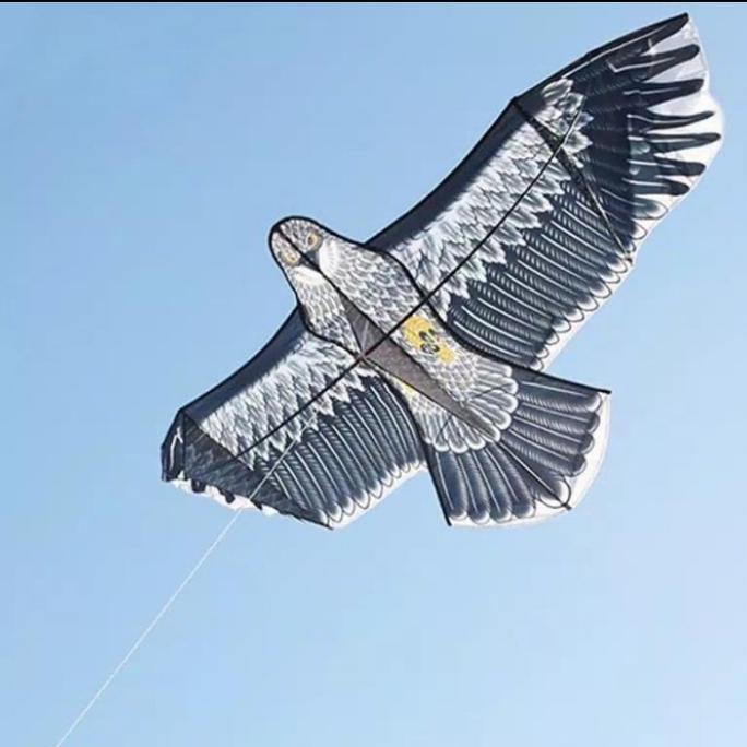 Layangan elang parasut JUMBO + layangan lipat