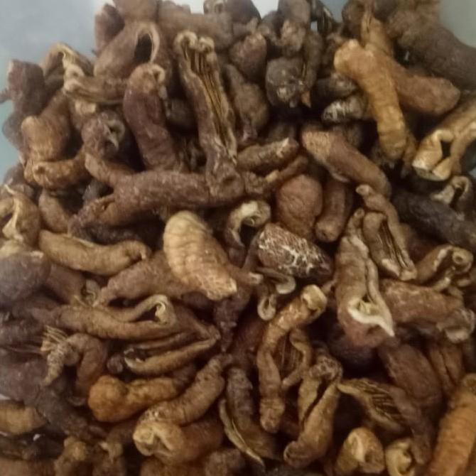 keripik teripang 250grm 35000