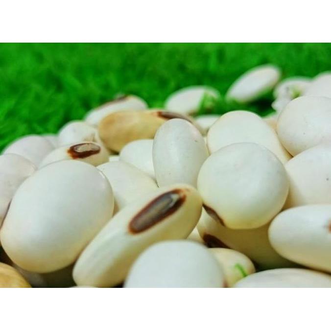 Kacang koro binong koro pedang 1Kg Organik