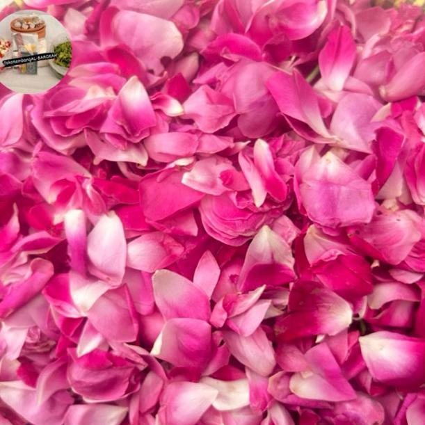kelopak bunga mawar kampung/lokal mawar tabur wangi pink putih