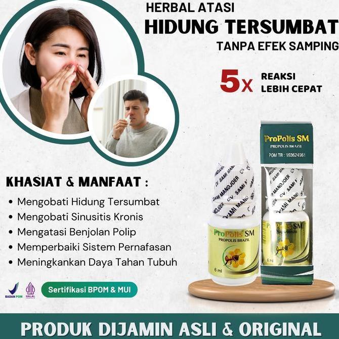Obat Tetes Hidung Tersumbat, Obat Polip Hidung Herbal - Propolis SM