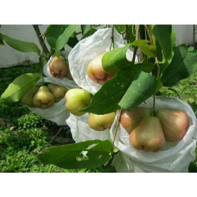 Heigrow Fruit Cover Pembungkus Buah Kain Penutup Tanaman Buah