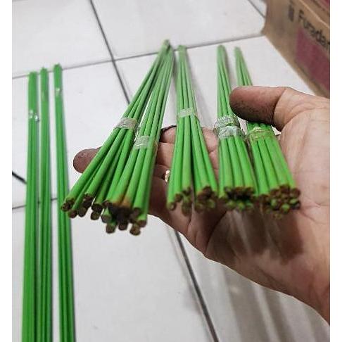 stick ajir tanaman 80 cm penyangga tanaman anggrek hias