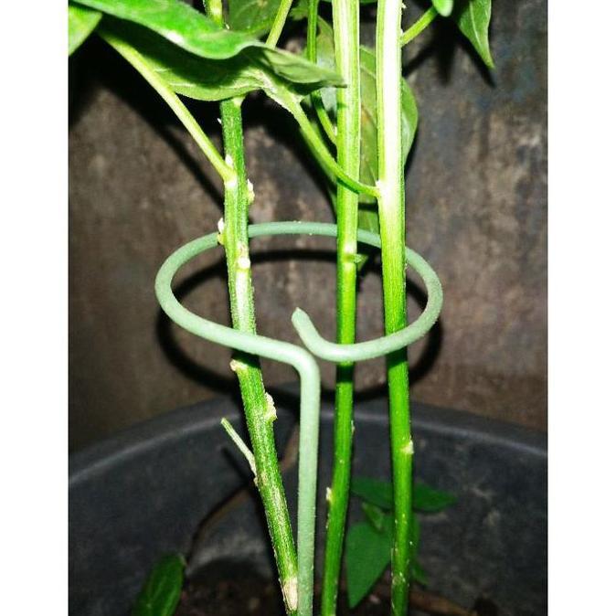 besi penyangga tanaman dan bunga