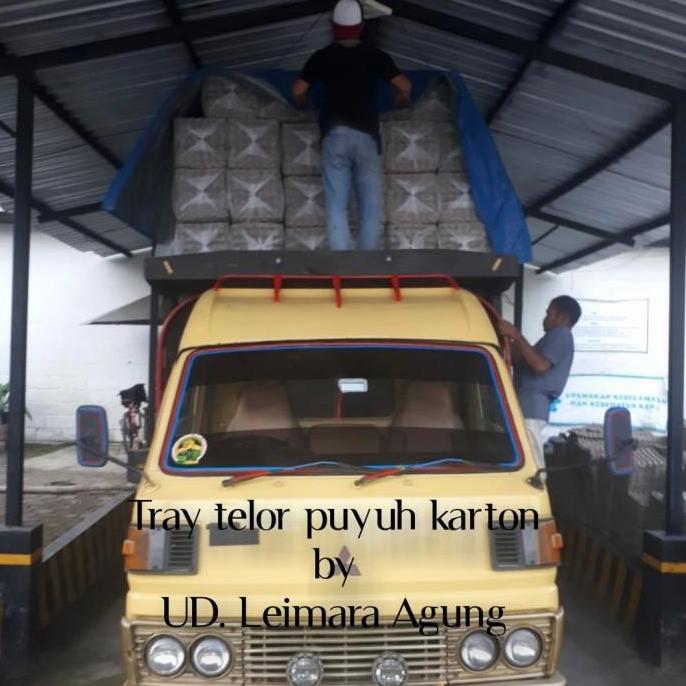 tray puyuh karton/tempat telur puyuh karton