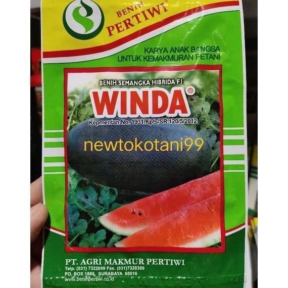Benih semangka WINDA 20 gram semangka inul hibrida winda f1 pertiwi