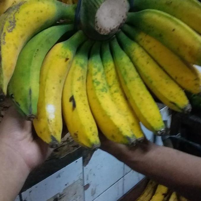 Sunakku- Pisang Raja Buluh Sukabumi/Ukuran Jumbo