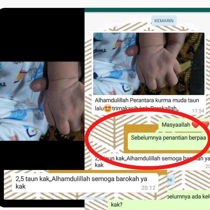 Fruting- Kurma Muda Promil Barhee Kurmamuda Fresh Mengkal Manis Ruthob Arab Kurmamuda_Id Nusaibah Ke