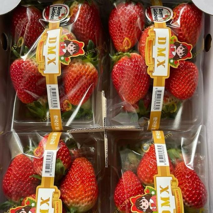 Fruting- Buah Strawberry Korea | Strawberry Premium Korea - 1 Pack