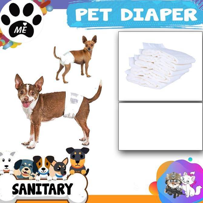 Catbull- Diaper Anjing Kucing Jantan Male Diaper Popok Anjing Kucing