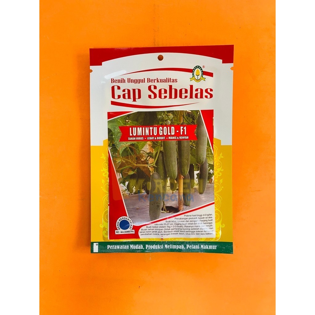 Benih Timun Ketimun Mentimun LUMINTU GOLD F1 20 gr dari Cap Sebelas