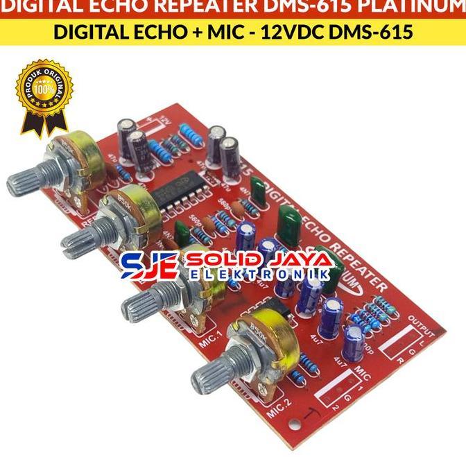 Rwd- Kit Digital Echo Repeater Repeat Mic Karaoke Dms615 Dms 615 Dms-615 Preamp Pre Amp Amplifier Ec