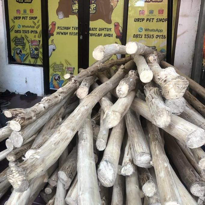 KAYU KOPI TANGKRINGAN BURUNG LURUS PANJANG