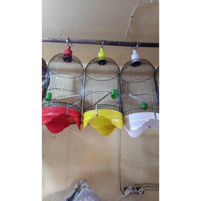 Sangkar kapsul love bird tebok PVC MURAH