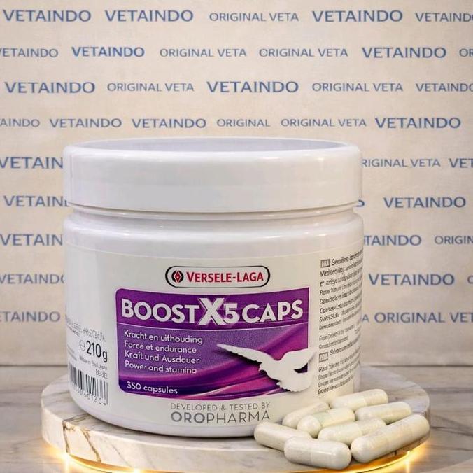 BOOST X5 CAPS VERSELE LAGA 100 KAPSUL STAMINA BURUNG MERPATI TENAGA LOMBA LATIHAN