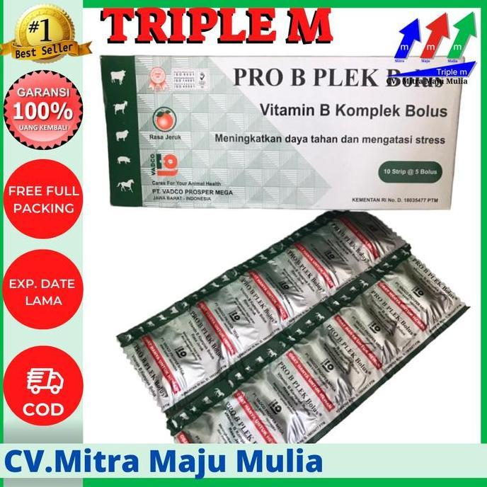 PRO B PLEK Bolus / VITAMIN B KOMPLEK 5 BOLUS