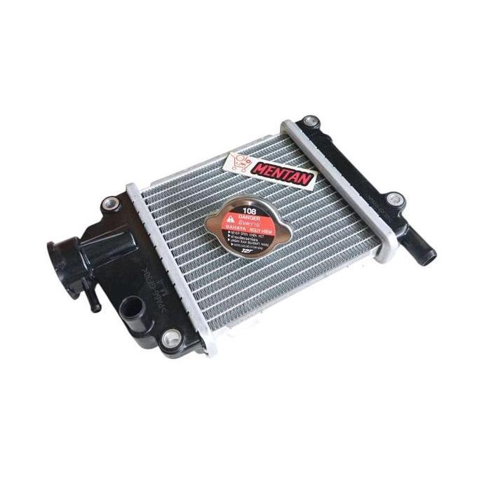 RADIATOR KOMPLIT PLUS TUTUP RADIATOR VARIO 110 VARIO CBS TECHNO 110