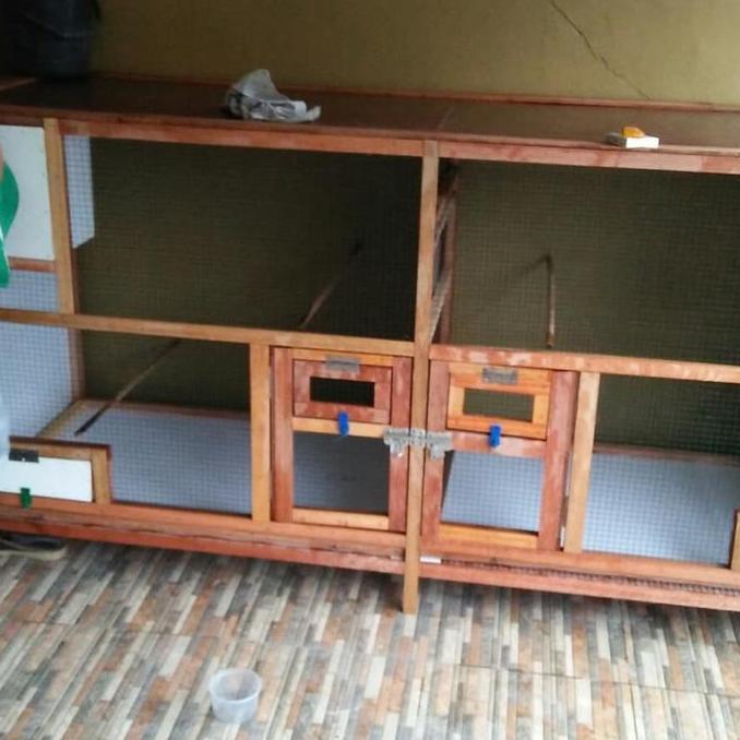 kandang ternak minimalis untuk murai batu/kacer/ciblek/cucak rowo