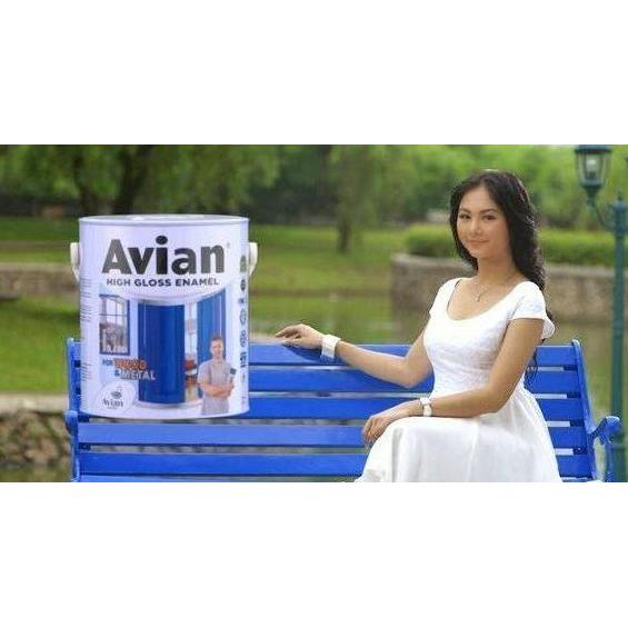 AVIAN CAT BESI/KAYU-ISI 1KG WARNA DOF KUNING,ABU-ABU,ORANGE