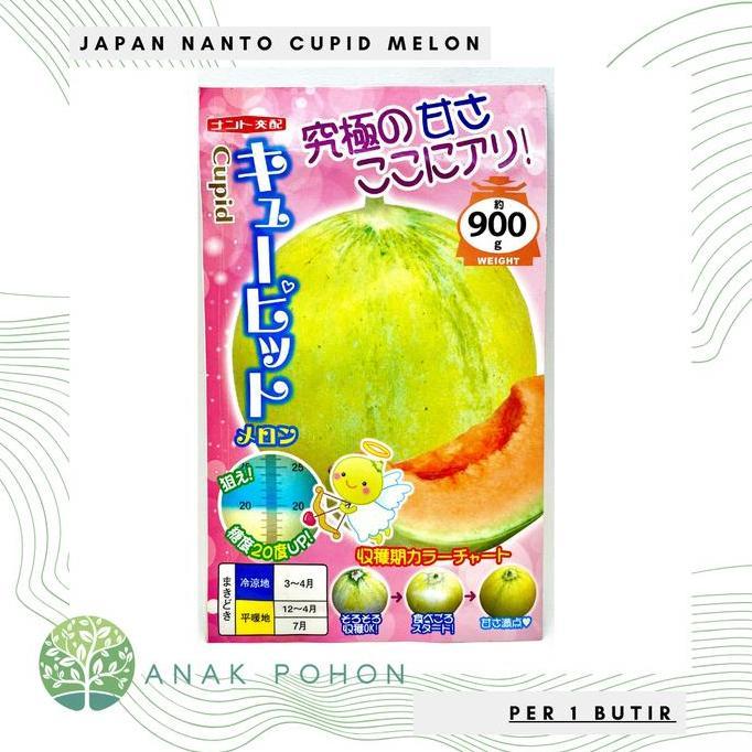 Benih Bibit Biji - Japan Nanto Cupid Melon Seeds - IMPORT JAPAN - Melon Sultan Termanis di Dunia