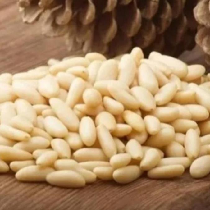 Kacang Pine Nut /Kacang Pinus Raw 250gram