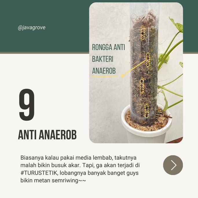 10 pcs TurusTetik / Turus Plastik Mika Bening Mica / Moss pole TURUS ESTETIK