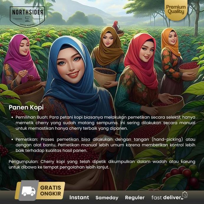 Northsider Kopi Arabika Panama Geisha Esmeralda Privatecollection Natural coffee