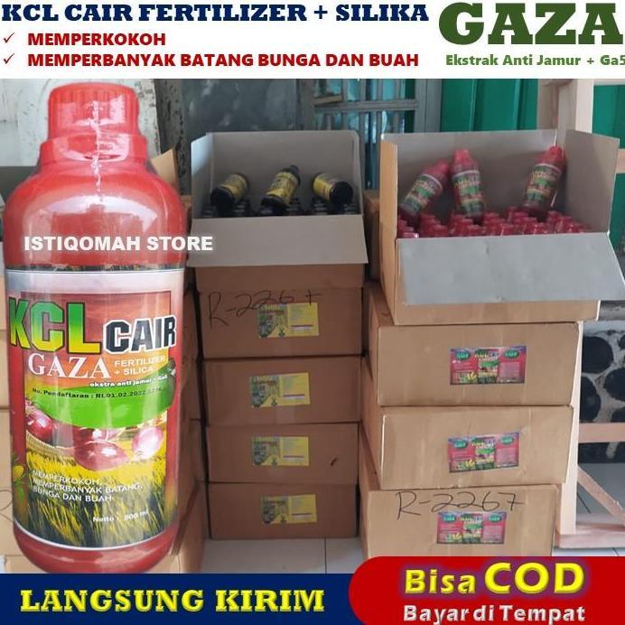PUPUK PADI SAWAH TERBAIK KCL GAZA 500ML Pupuk Padi Pelebat Buah - Pupuk Padi Cair Pengganti Urea - O