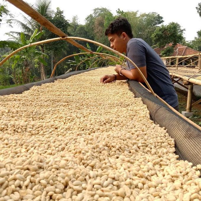 Green Bean / Arabika Java Ijen - Proses fullwashed Dryhull