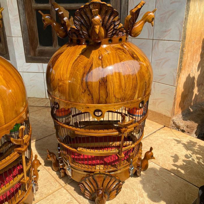 Sangkar perkutut mahkota merak