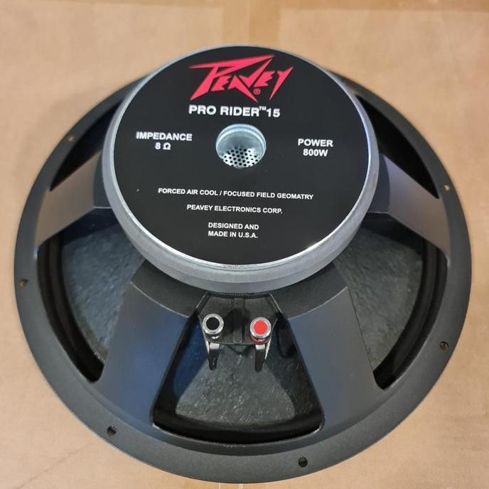 SPEAKER 15 INCH PEAVEY PRO RIDER
