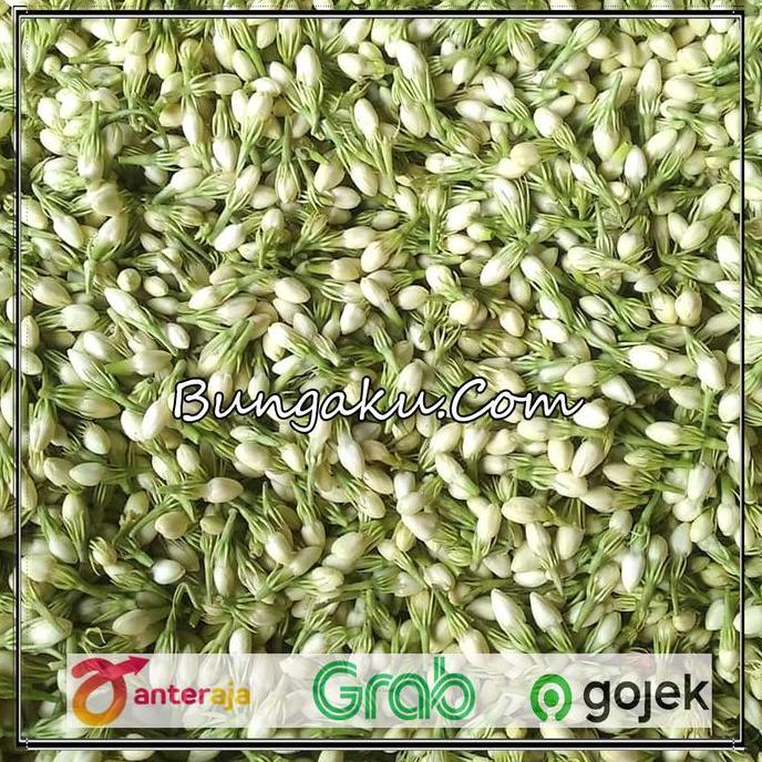 Flwrx- Bunga Melati Asli Fresh /Melati Asli Fresh