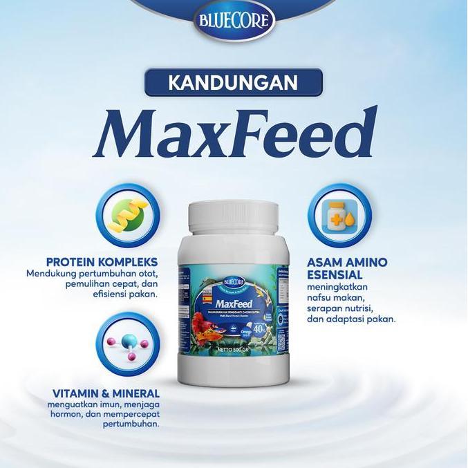 Pescare- Bluecore Maxfeed Pakan Burayak Ikan Penghemat Cacing Sutera Untuk Penggemuk Ikan Dan Perang
