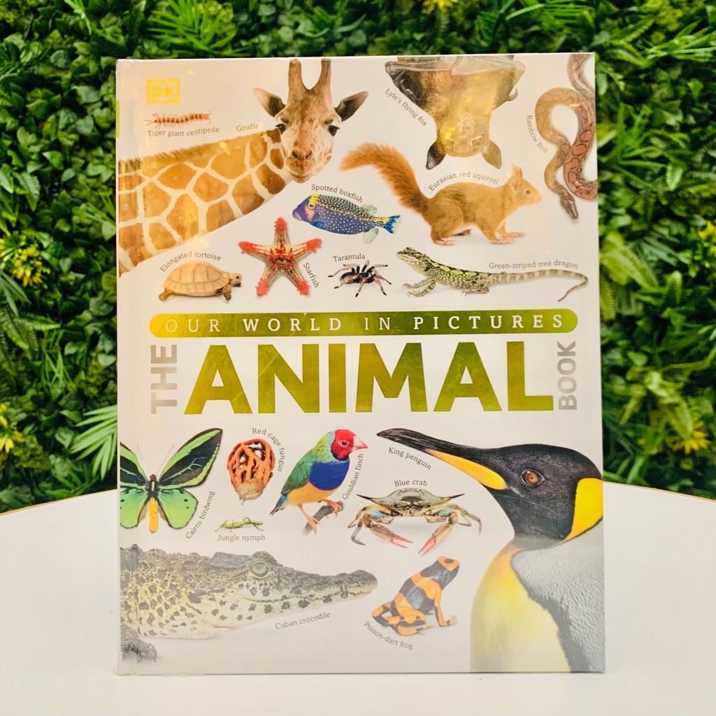 DK Our World In Pictures The Animal Book [ New - Sealed ]