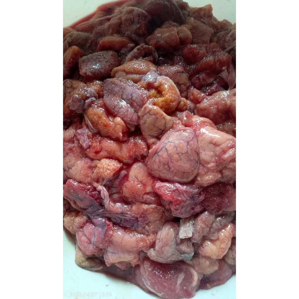 TELUR IKAN PATIN TINGGI PROTEIN COCOK UNTUK UMPAN GALATAMA LELE, TOMBRO, BAWAL || HARGA 250GR