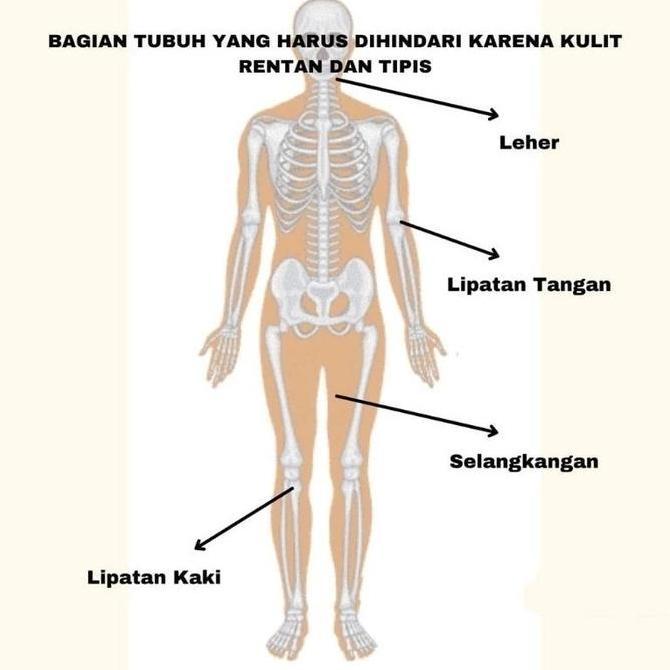 Skinyou- [Original] Hb Dosting Clinic Pemutih Badan Ampuh Bpom Hb  Dosting Ori