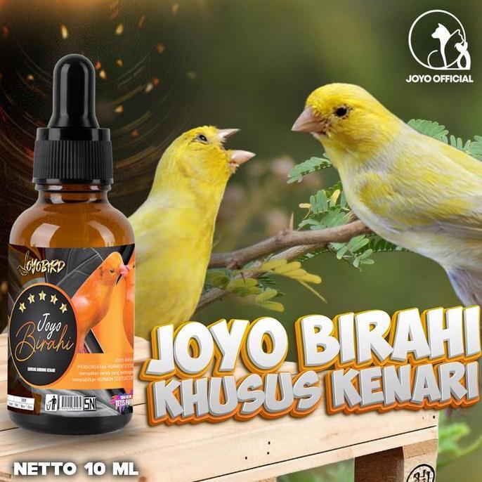 TERLARIS VITAMIN BURUNG PENDONGKRAK BIRAHI TESTOTERON & 20 ESTEROGEN, OBAT MENAIKKAN BIRAHI, MENSTAB