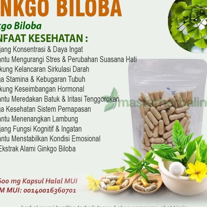 Ginkgo Biloba 100 Kapsul Curah Herbal