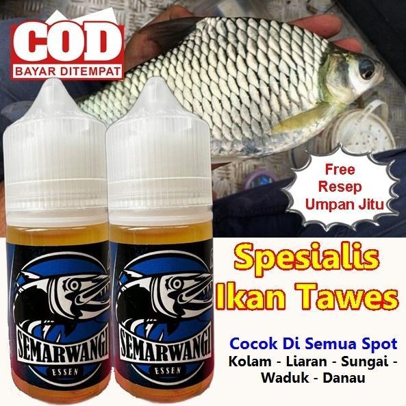 Semarwangi Esen Oplosan Ikan Tawes - Essen Ikan Tawes Liar - Essen Ikan Tawes Sungai / Danau / Waduk