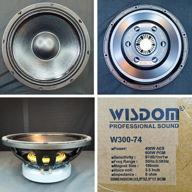 TERLARIS SPEAKER COMPONENT WISDOM W300 74 ORINAL/ W300-74/W 300 74