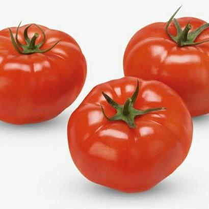 Promo Cod ( 5 Butir ) Benih Biji Tomat Beef | Tomat Beefsteak | Beefsteak Tomato ><