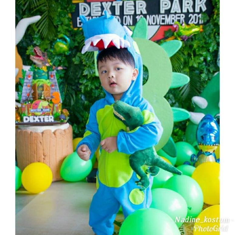 Free Ongkir Kostum Dino/Kostum Dinosaurus/Kostum Binatang/Kostum Binatang Anak/Kostum Karakter/Nadin
