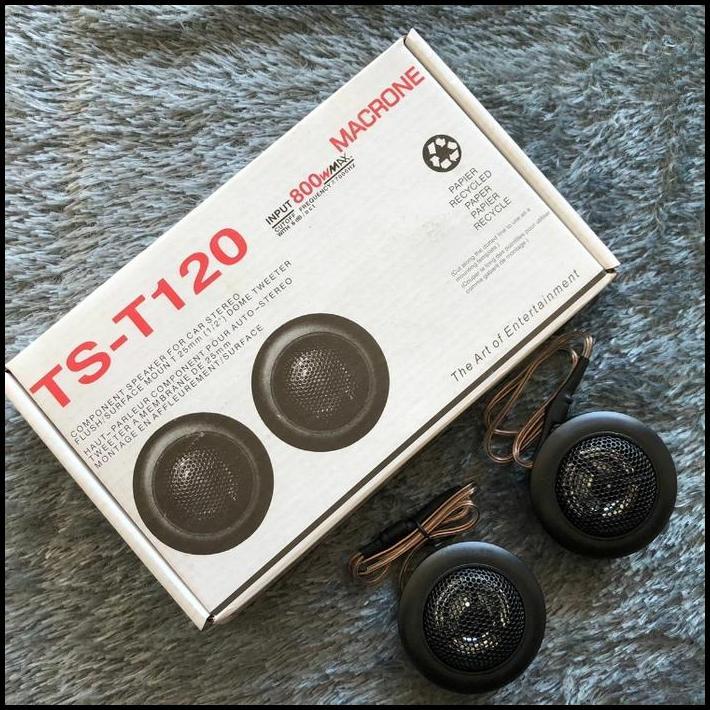 TERLARIS TWEETER PIONEER TS - T120 / TWEETER SPEAKER MOBIL 