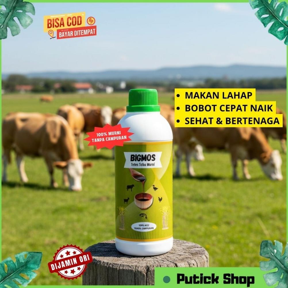 Ready Stock PENGGEMUK SAPI BIGMOS MOLASE TETES TEBU PENGGEMUK SAPI PENAMBAH NAFSU MAKAN TERNAK SAPI 