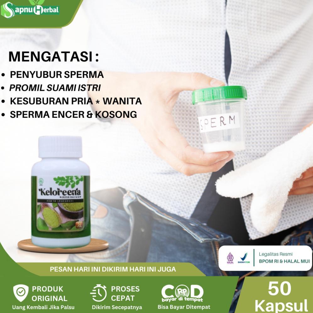 (Terbaru) Obat Penyubur Sperma, Promil Suami Istri, Kesuburan Pria dan Wanita, Penyubur Kandungan, P
