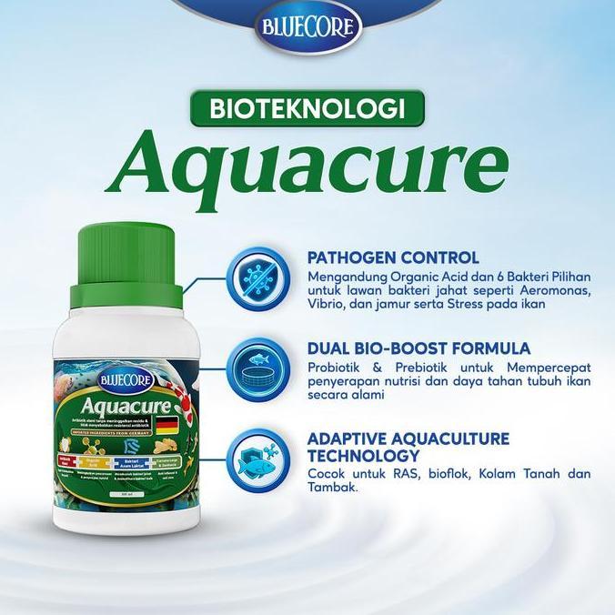 Duniaikanqita- Bluecore Aquacure Antibiotik Alami Ikan Solusi Mencegah Bakteri Dan Virus (Cocok Untu
