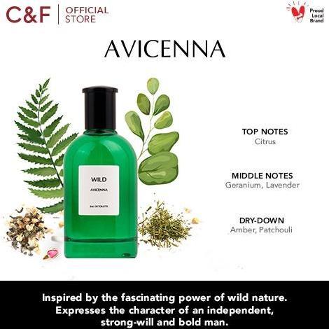 Cod,Bisa- Avicenna Wild Men  Edt 100 Ml - Parfum Pria