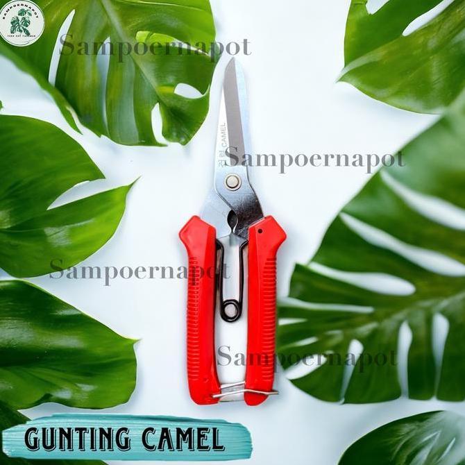 Cod,Aja- Gunting Daun,Seng,Kertas,Kain Dan Serbaguna Camel - Kuat Dan Tajam