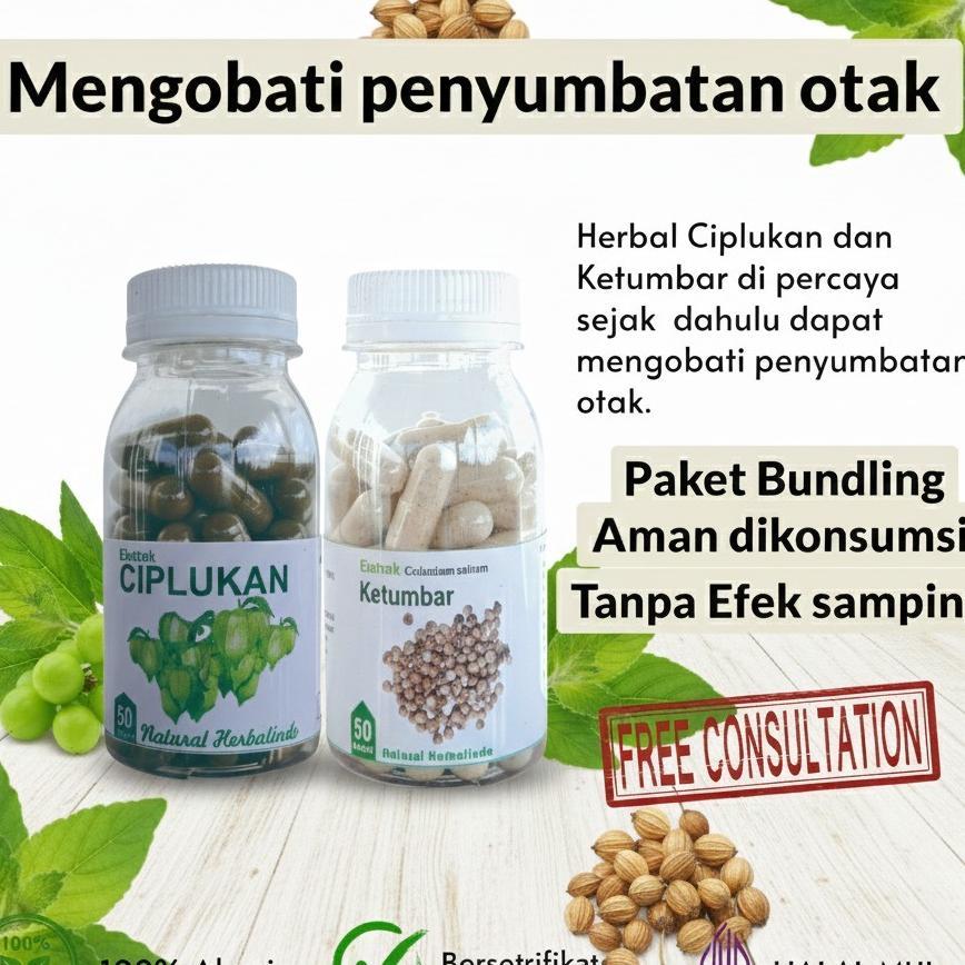 Obat Penymbatan Konorer Herbal Ketumbar Stroke Suplemen Saraf Otak Ciplukan Kapsul